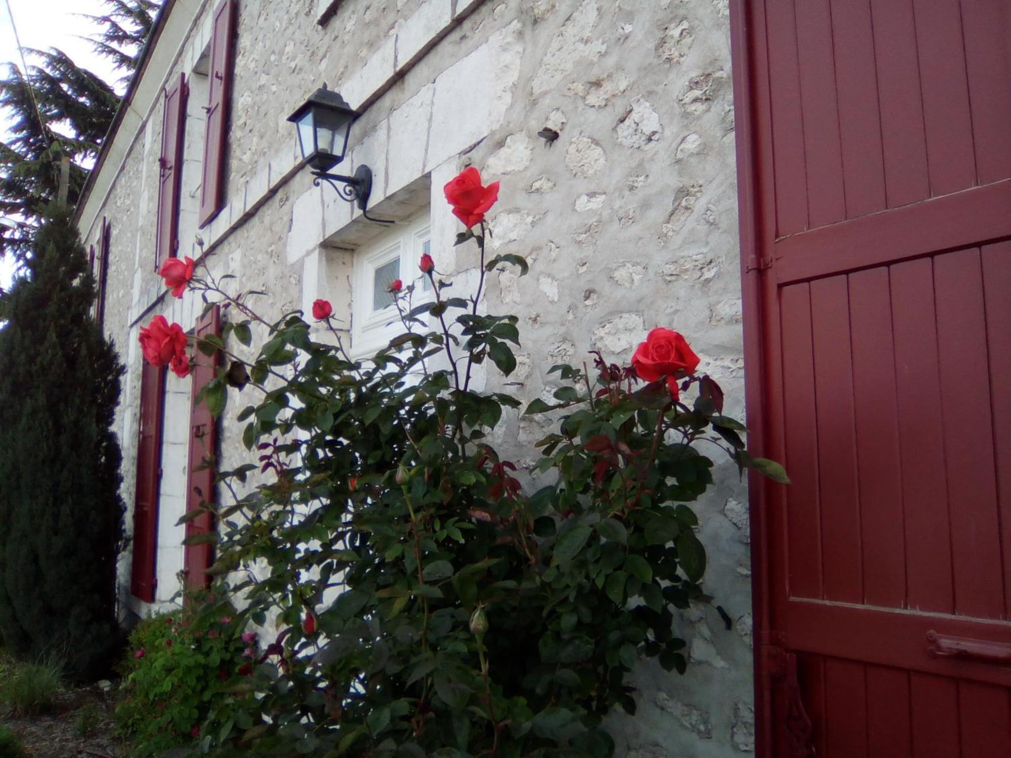 Le Clos De La Vigneronne Messas Bagian luar foto